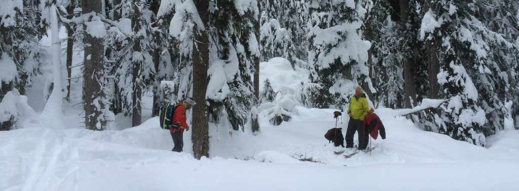 2017 backcountry skis - dave waag
