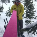 Backcountry ski climbing skins