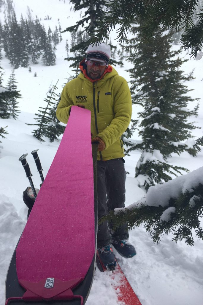 Backcountry ski climbing skins